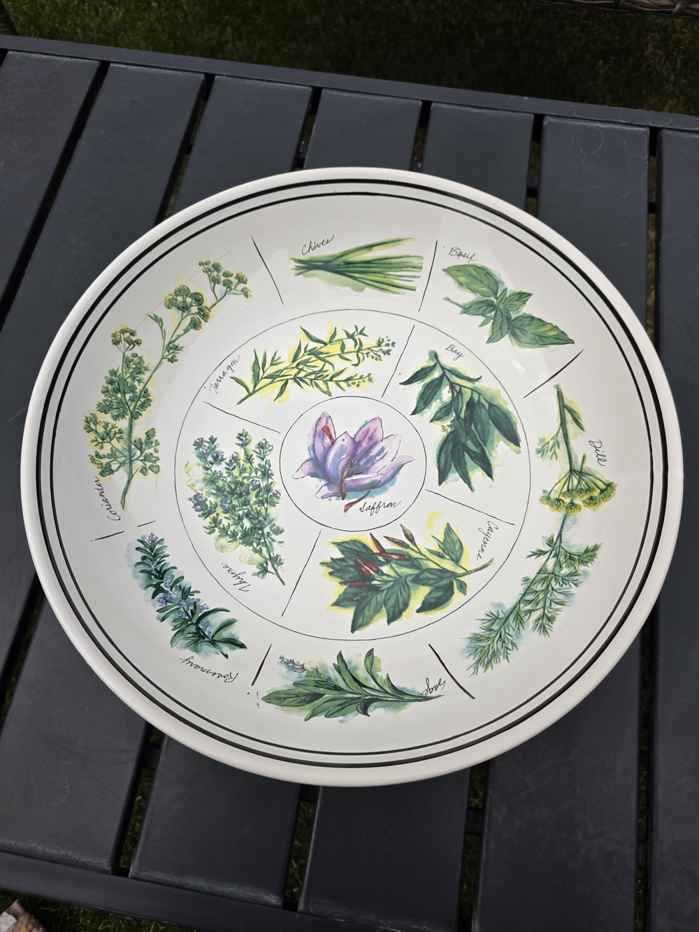 Williams Sonoma Culinary Herbs Pasta Serving Bowl 13 in Made in Portugal